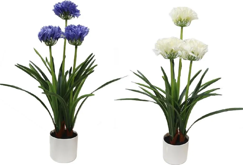 Bac à Fleurs Design pour Terrasse et Balcon - Pot Agapanthe Large XL