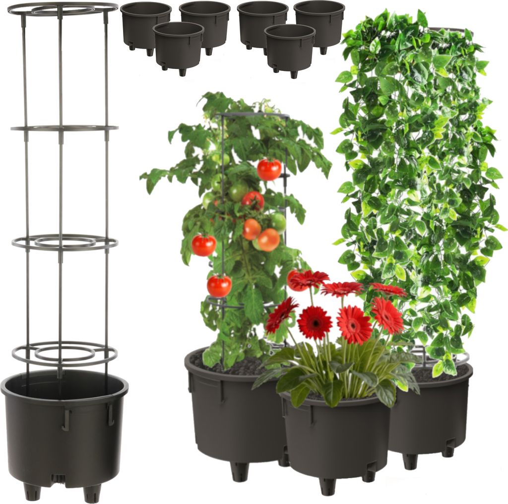Topfeinsatz 6 Stck Einsatz Blumenstütze Ø38,5cm mit abnehmbarer Rahmen für Kletterpflanzen Modular für Tomaten Bohnen Erbsen Kunststoff Garten ...