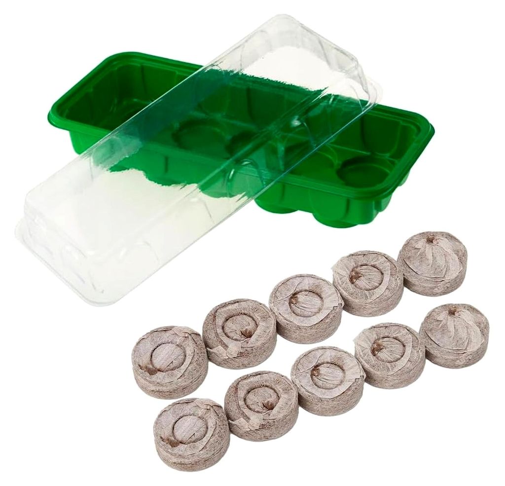 Mini-Gewächshaus mit Kokos-Quelltabletten und Anzuchtplatten