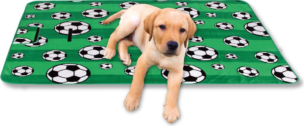 Tierdecke mit Fotodruck - Fussball, Maße: 70x100cm
