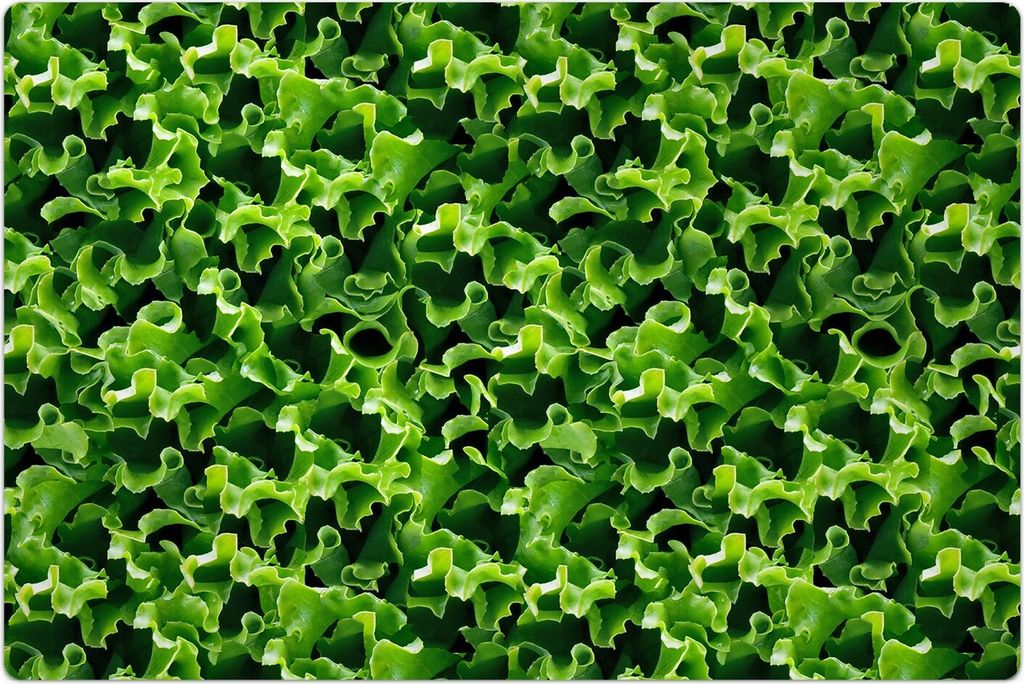 Küchenmatte 100x150 cm Vinylmatte Bodenmatte Dekoration -Grüner Kopfsalat