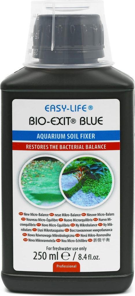 Einfaches Leben. Blauer Ausgang