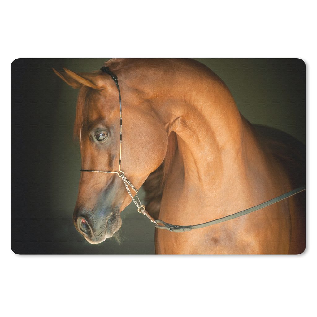 MuchoWow Mauspad Mousepad Pferd - Braun - Zaumzeug 27x18 cm - Mousepads - Maus Mat - Pad - Mausunterlage - Büroartikel - Desk Matten