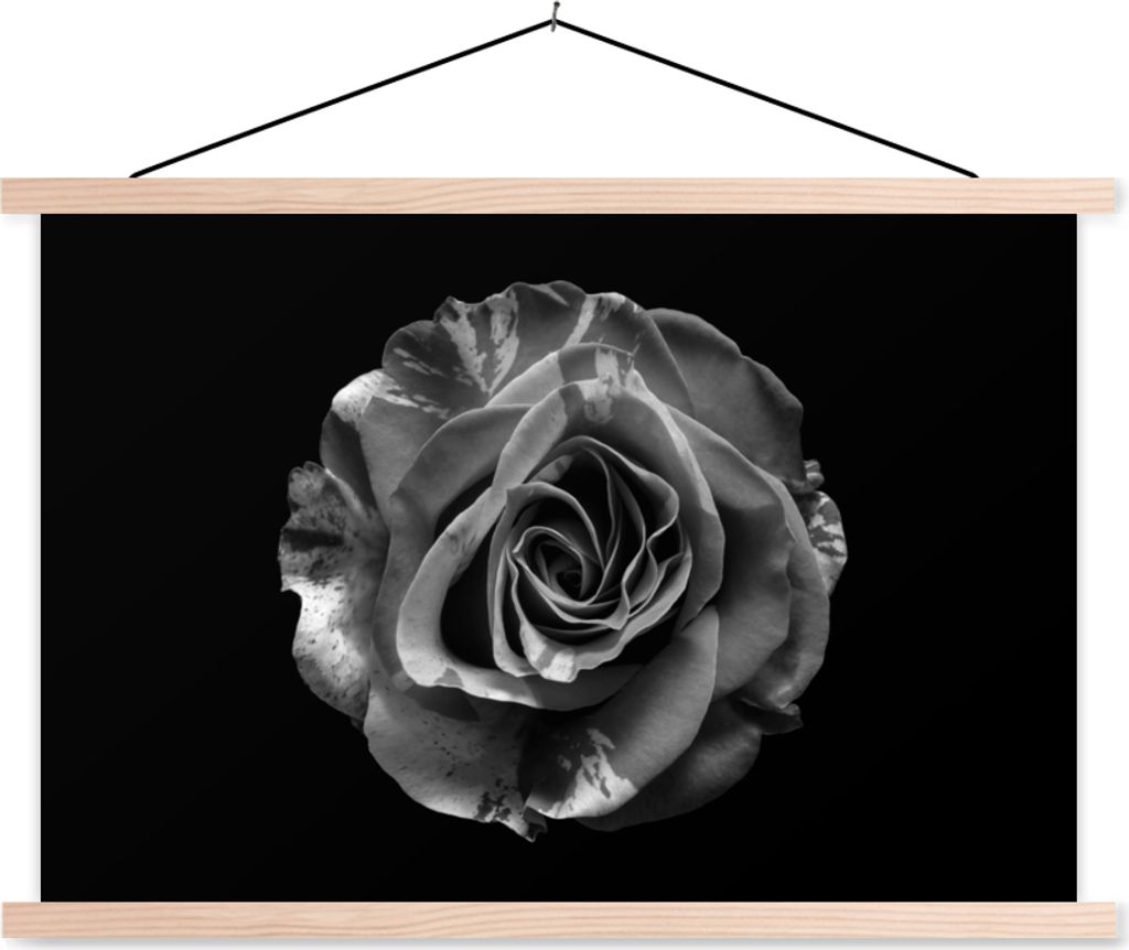 MuchoWow Textilposter Blumen - Rose - Schwarz - Weiß - Botanisch 60x40 cm mit holzfarbenen Rahmen - Bilder