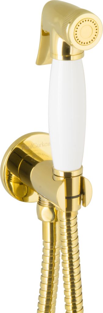PaulGurkes Bidet Gold Spraybrause Unterputz Bidet-Set Intimdusche Hygienedusche
