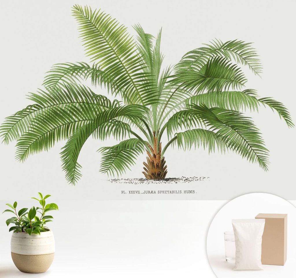 Fototapete - 104x70 cm - Tapete - Wandtapete - Wandbilder - Dekofolie - Tapete Folie - Wand - Dekoration - Wohnzimmer - Glänzende Palme