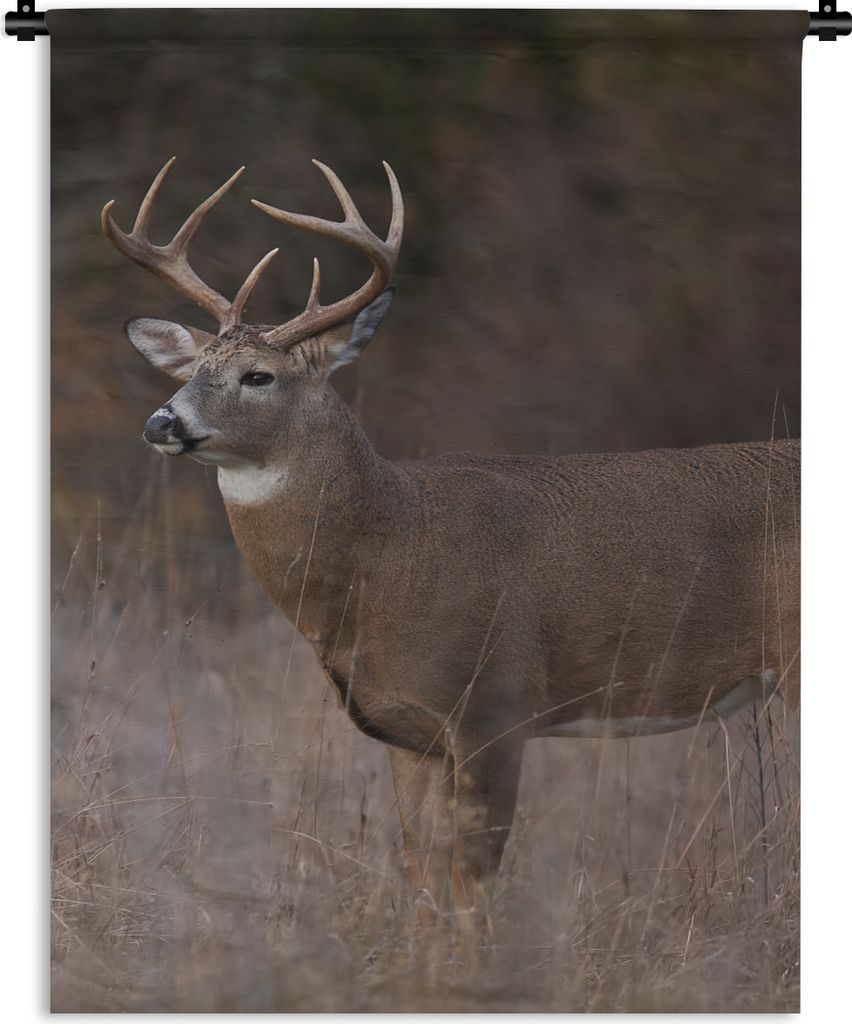 MuchoWow Wandteppich Wandbehang Herbst - Hirsche - Gras - Natur - Tiere 90x120 cm Tapisserie Dekoration Wandtuch - Wanddeko
