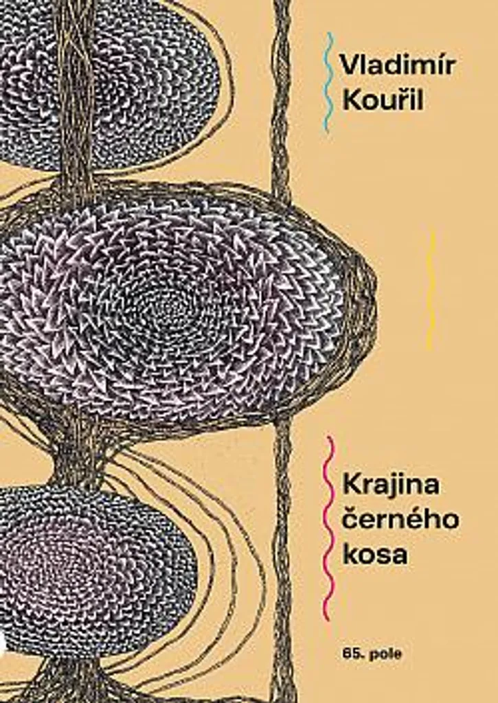 Découvrez Krajina černého kosa de Vladimír Kouřil pour votre Collection