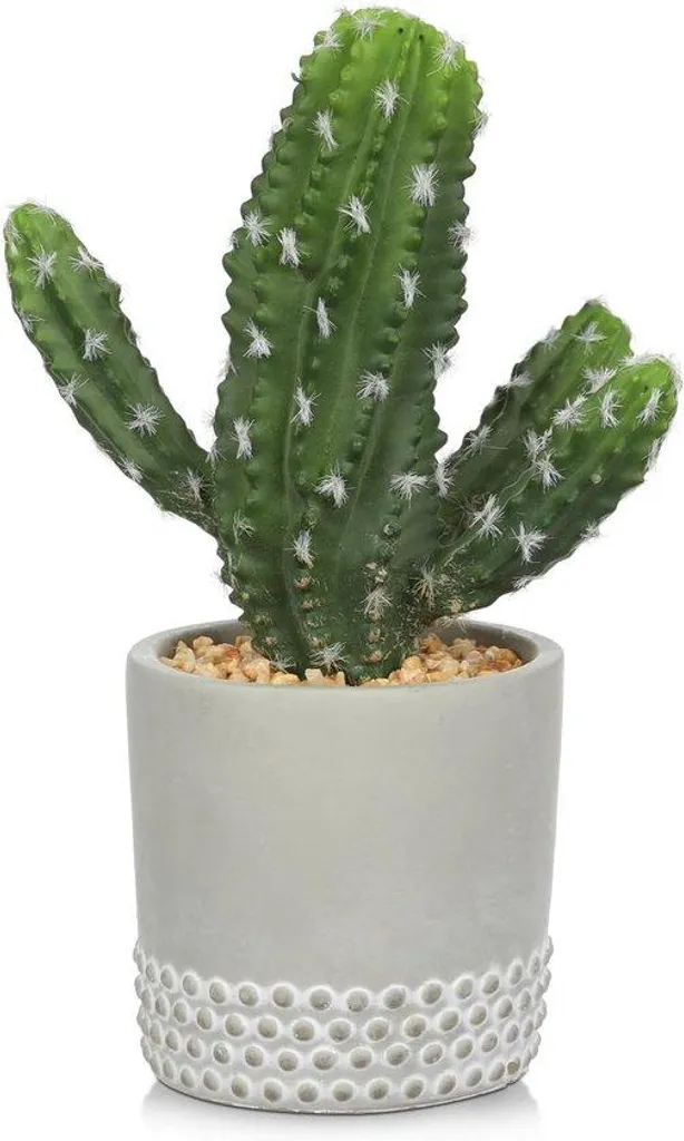 Petit cactus décoratif vert en béton artisanal - Plante grasse 1 pièce