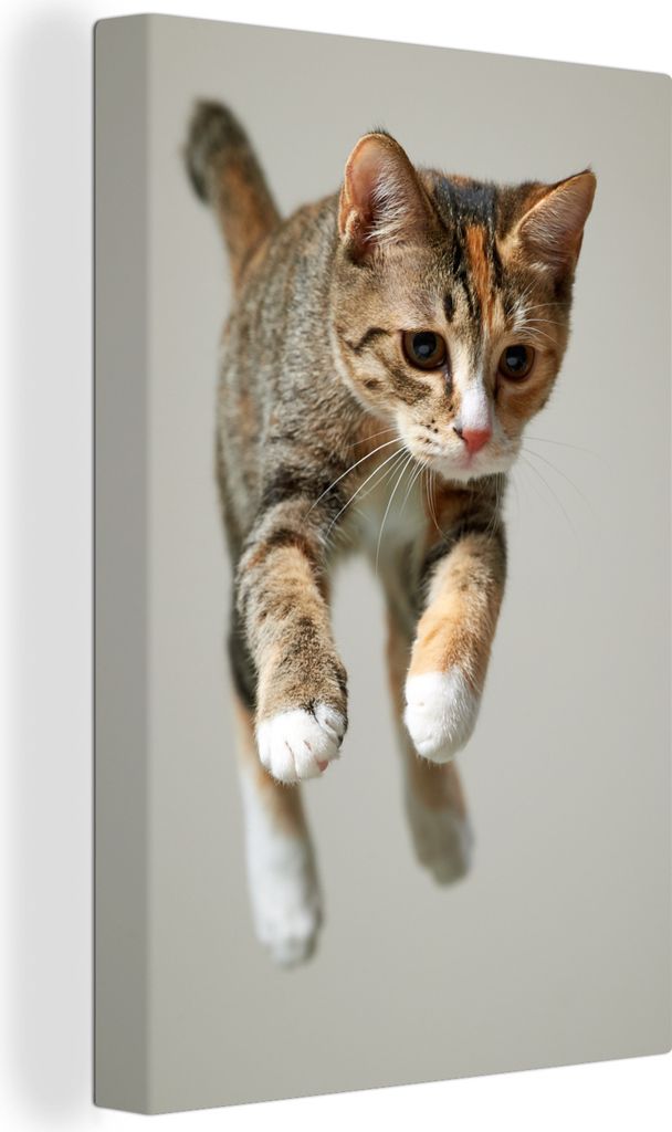 OneMillionCanvasses - Leinwandbilder - 90x140 cm, Springende Katze, Wandbilder Kunstdruck Wanddekoration - Wandschmucke - Schlafzimmer