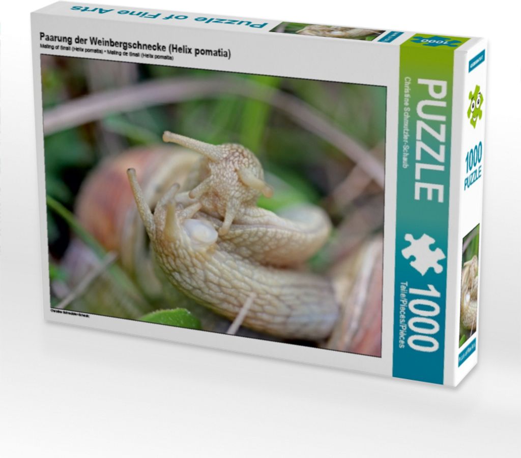 Calvendo Paarung der Weinbergschnecke (Helix pomatia) 1000 Teile Puzzle quer 640x480mm, Schmutzler-Schaub Christine; 7272042