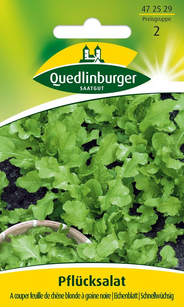 Pflücksalat 'A couper feuille de chên' Quedlinburger Produktbild 