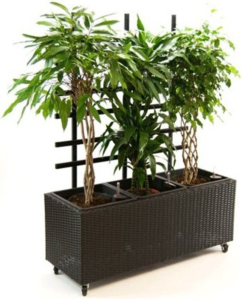 Elegant Einrichten | Pflanzkübel | Polyrattan | mit Rankgitter | rechteckig | 82x30x100cm | schwarz.
