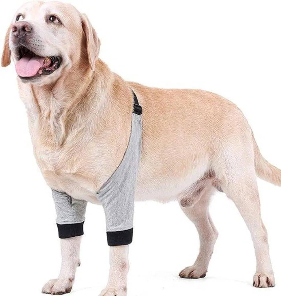 Bandage de compression chien taille M pour cicatrisation et blessure