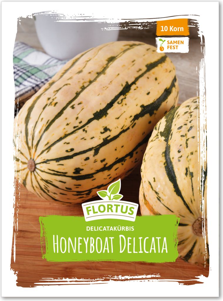 Delicatakürbis Honeyboat Delicata | Delicatakürbissamen von FLORTUS