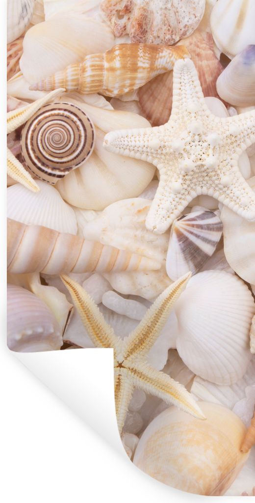 MuchoWow Wandtattoo Wandsticker Wandaufkleber Seestern - Muscheln - Strand - Sommer 80x160 cm Selbstklebend und Repositionierbar - Sticker - Deko...