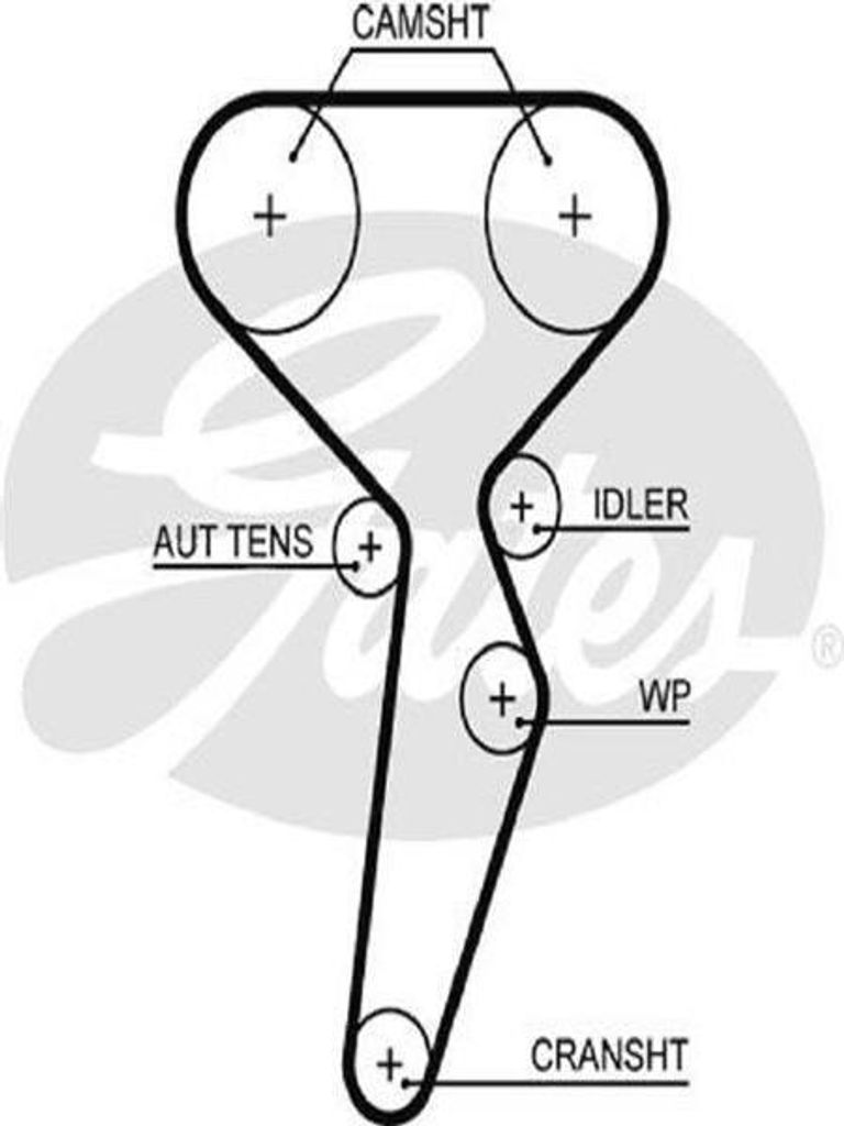 Polyesterband Verteilungs 5671XS