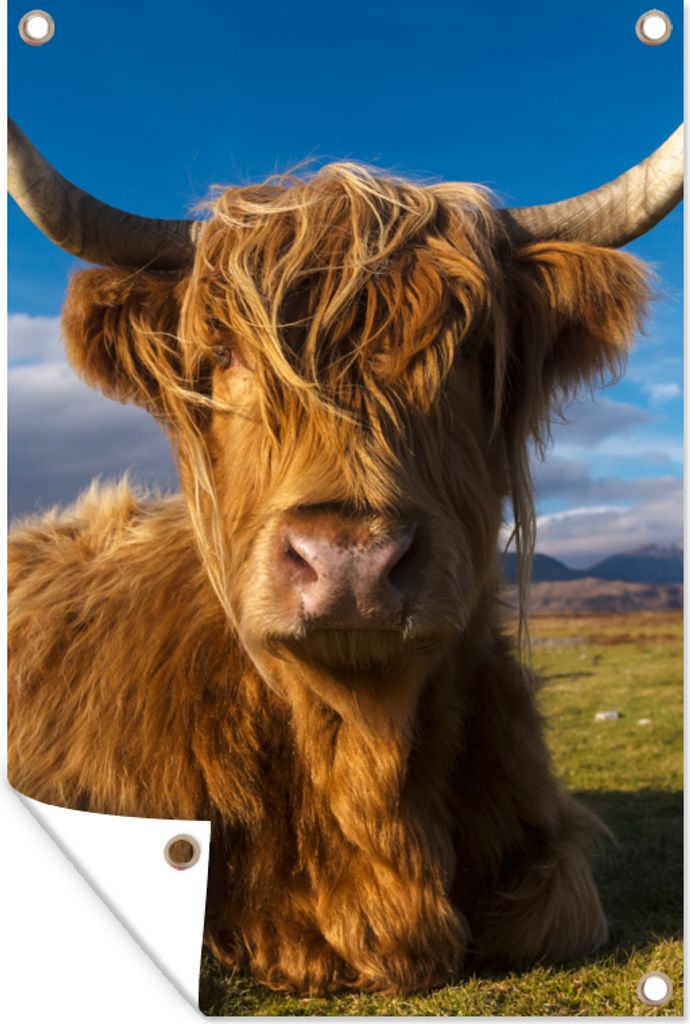 MuchoWow 80x120 cm Outdoor-Poster Gartendeko Sichtschutz Garten Poster für den Garten Schottische Highlander - Tiere - Gras