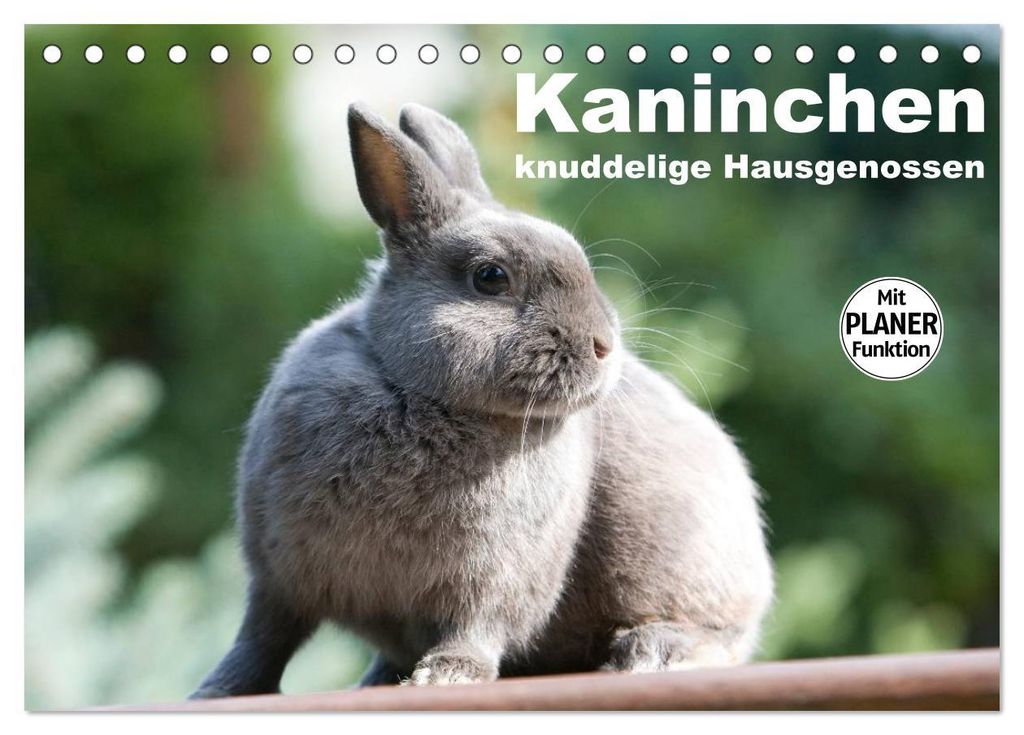 Kaninchen - knuddelige Hausgenossen (Tischkalender 2027 DIN A5 quer), CALVENDO Monatskalender