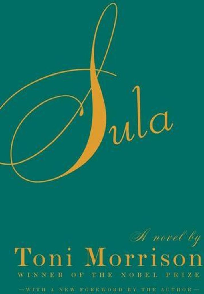 ISBN Sula, Angličtina, Brožovaná, 192 str. Obrázek produktu 