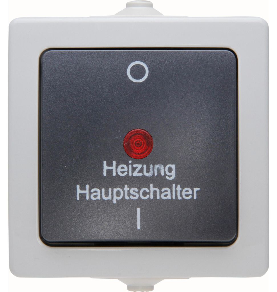 Kopp 565356002, Tasten, Schwarz, Grau, Thermoplast, IP44, Produktbild 