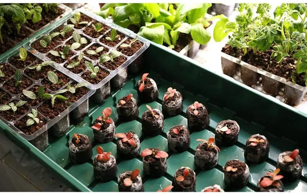 Plateau de Semis avec Valve de Ventilation - Set de 6 Kits de Germination
