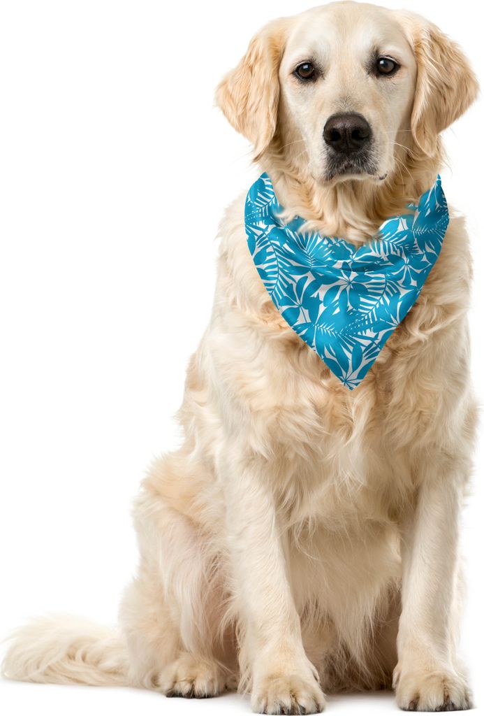 ABAKUHAUS Wasser Haustier Bandana, Hawaii-Bäume Laub, 40x40 cm, Blau Weiss