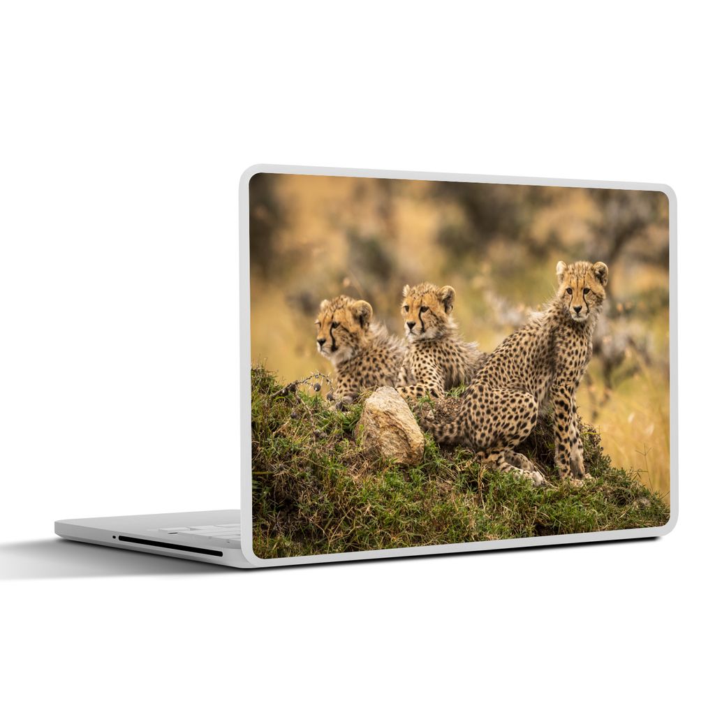 MuchoWow Laptop Aufkleber Sticker Cover Leopard - Wald - Tier 25x18 cm - Laptop-Deko