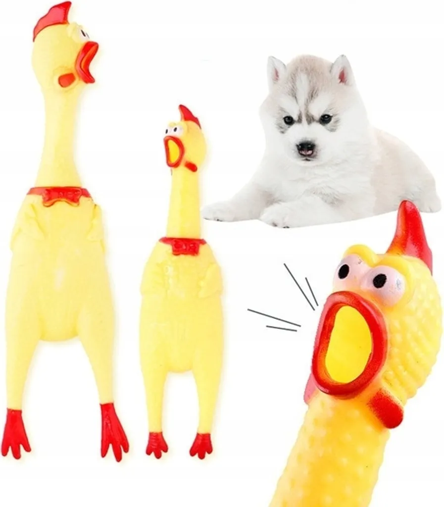 Giocattolo Gomma Cani Atossico 16cm | Squeaky Toy Professionale