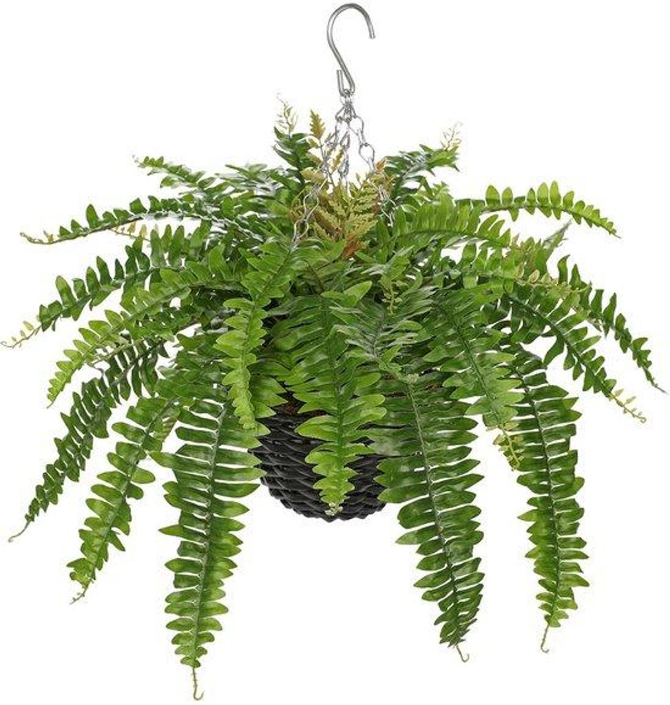 Kunstmatige Boston Fern-Hängepflanze – 3 Stile – ca. 60–80 cm – Dekorative Kunstpflanze in einem Korb – Realistisch – Binnenpflanze f...