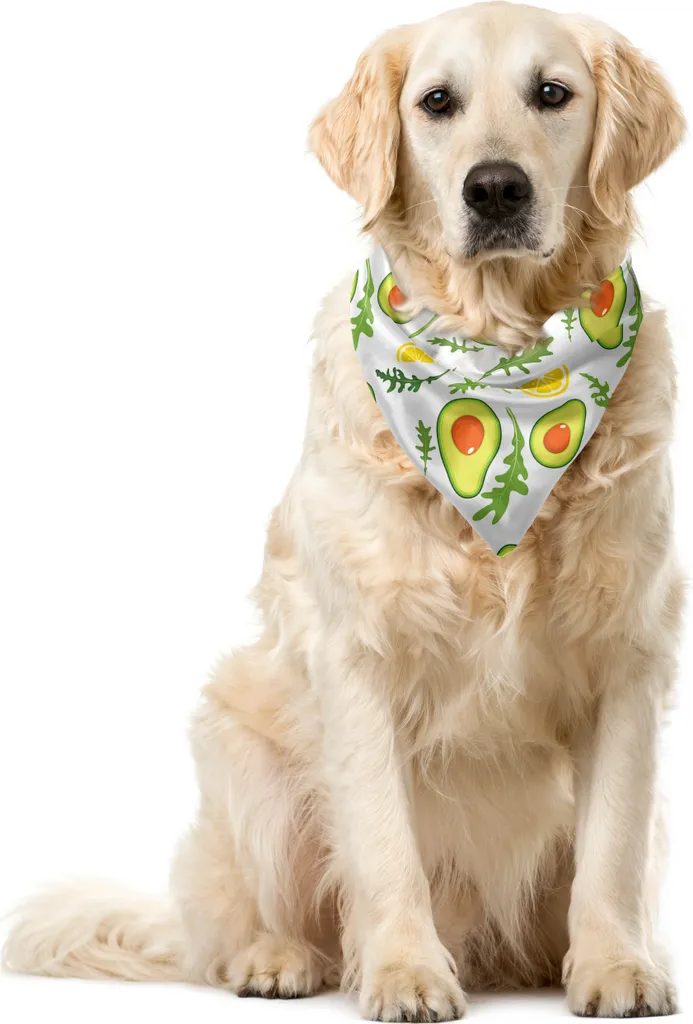 Bandana Cani ABAKUHAUS 55x55 cm - Motivi Fruttati Avocado e Limoni