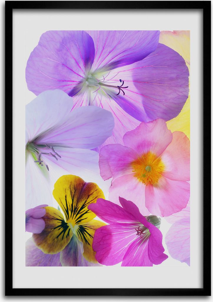 Bild - Bilderrahmen - Foto - 70 cm x 100 cm - MDF - Rahmen - Wandkunst - Bunte Blumen