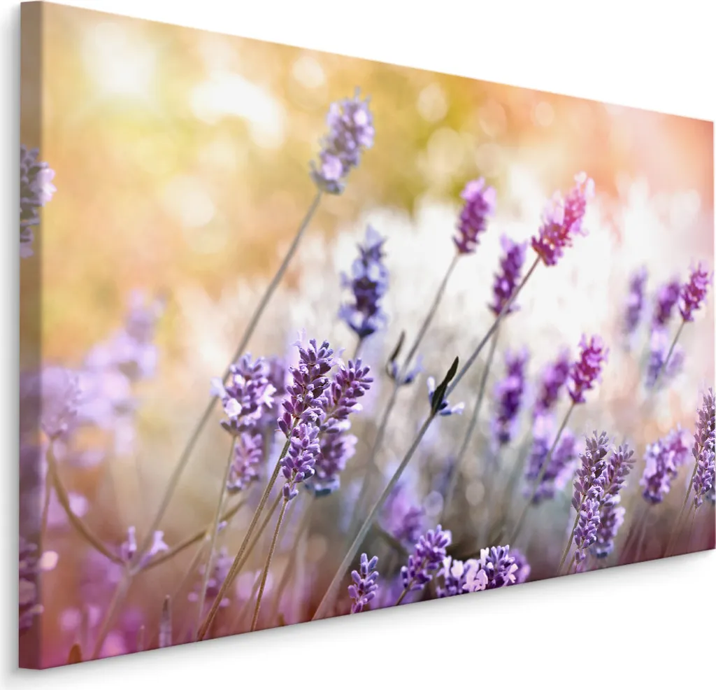Acquista Carta da Parati su Tela 90x60 Lavanda - Stampa d'Arte XXL