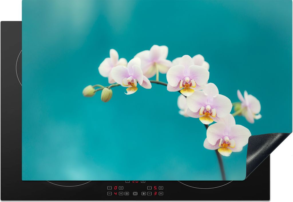 KitchenYeah Herdabdeckplatte Orchidee - Blumen - Pflanze - Weiß - Lila , 76x51cm, Küche Deko, Glaskeramikfeld Herdabdeckung, Abdeckplatte fùr ...