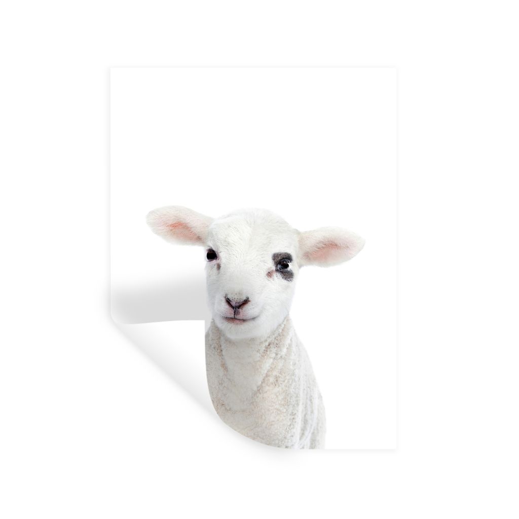 MuchoWow Wandtattoo Wandsticker Wandaufkleber Lamm - Weiß - Tiere - Natur 120x160 cm Selbstklebend und Repositionierbar - Wierderverwendbar - Se...