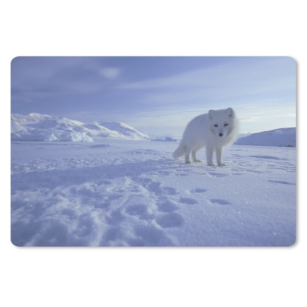 MuchoWow® Schreibtischunterlage Fuchs - Schnee - Berge Produktbild 