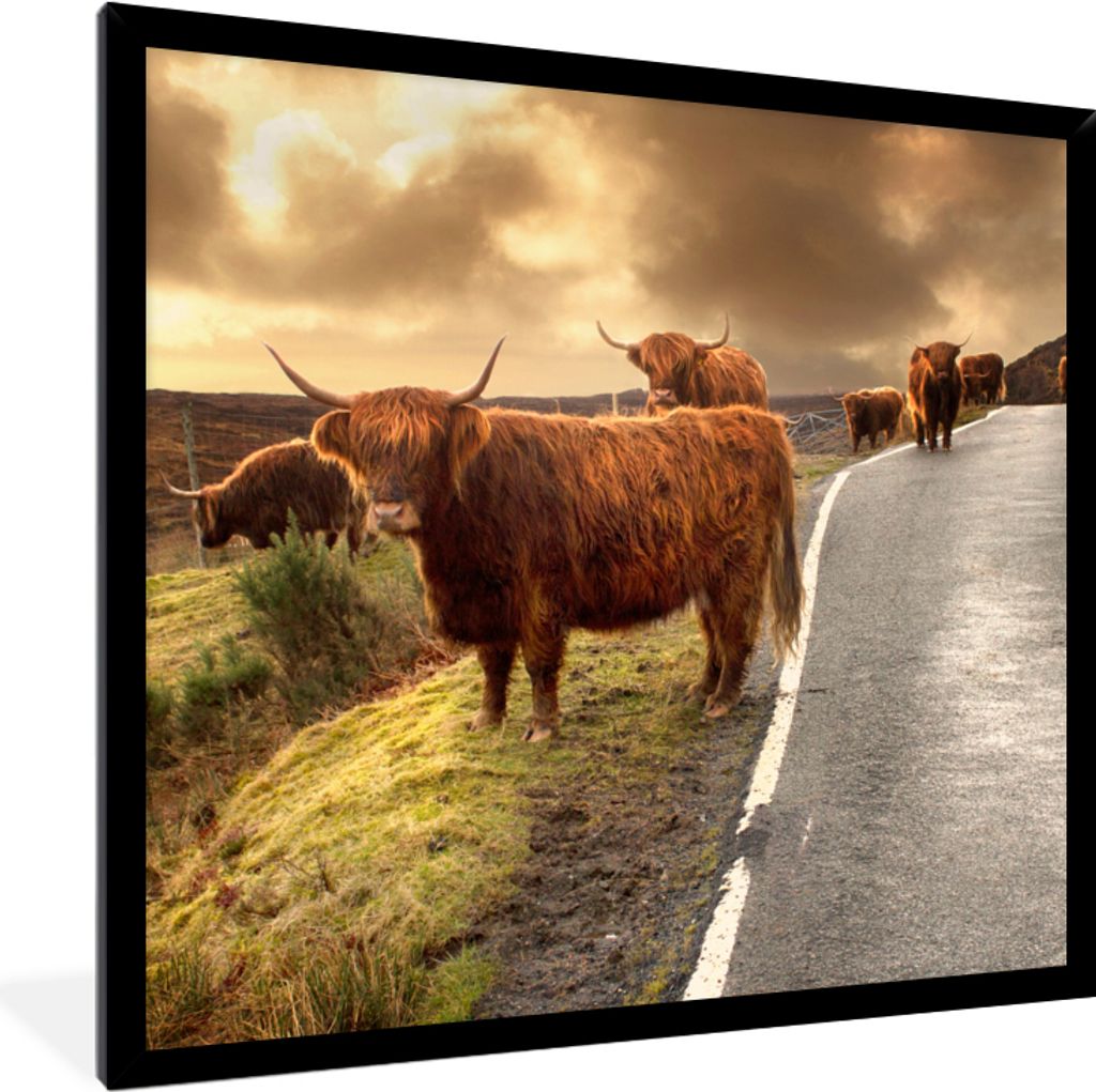 MuchoWow Gerahmtes Poster Schottische Highlanders - Himmel - Straße 40x40 cm - Poster mit Schwarzem Bilderrahmen Wandposter Rahmen Foto Bilder -...