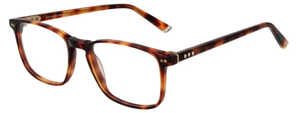 Taylor Morris Mod. Sw16 52C2 Lunettes de Soleil Luxe Style Londonien