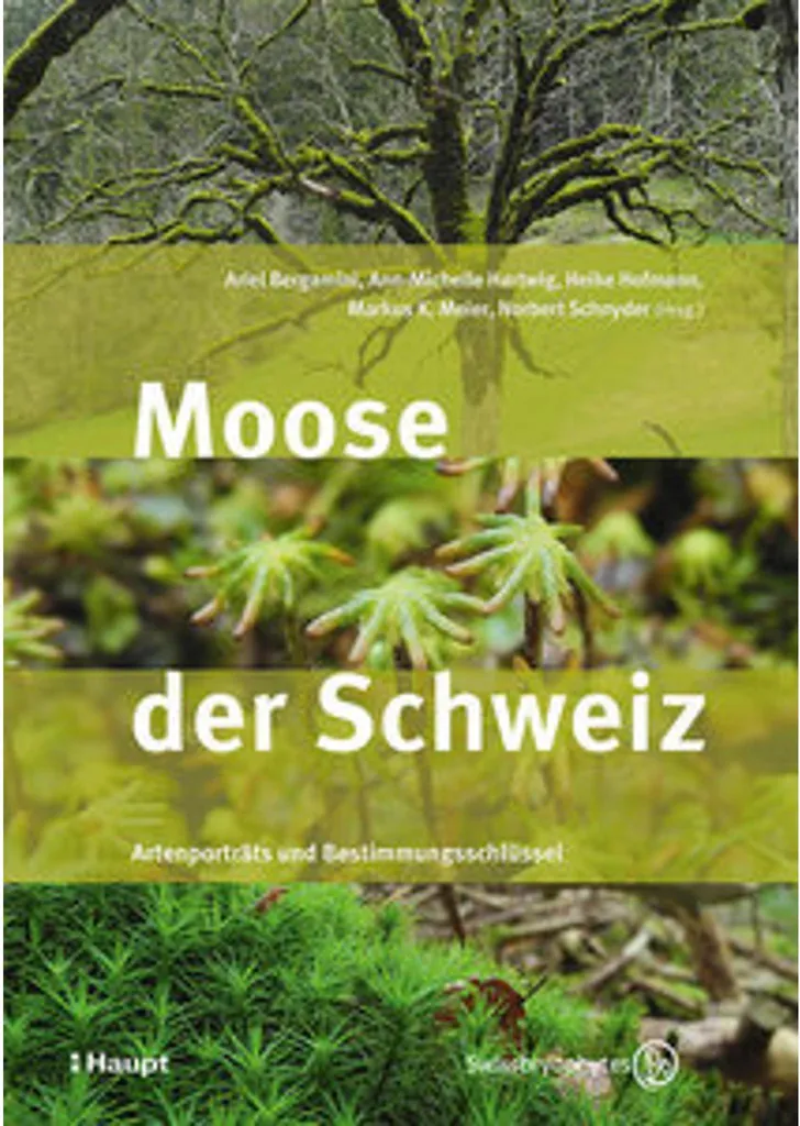 Mousse de Suisse Moose der Schweiz idéale pour terrarium et bonsaï 1L