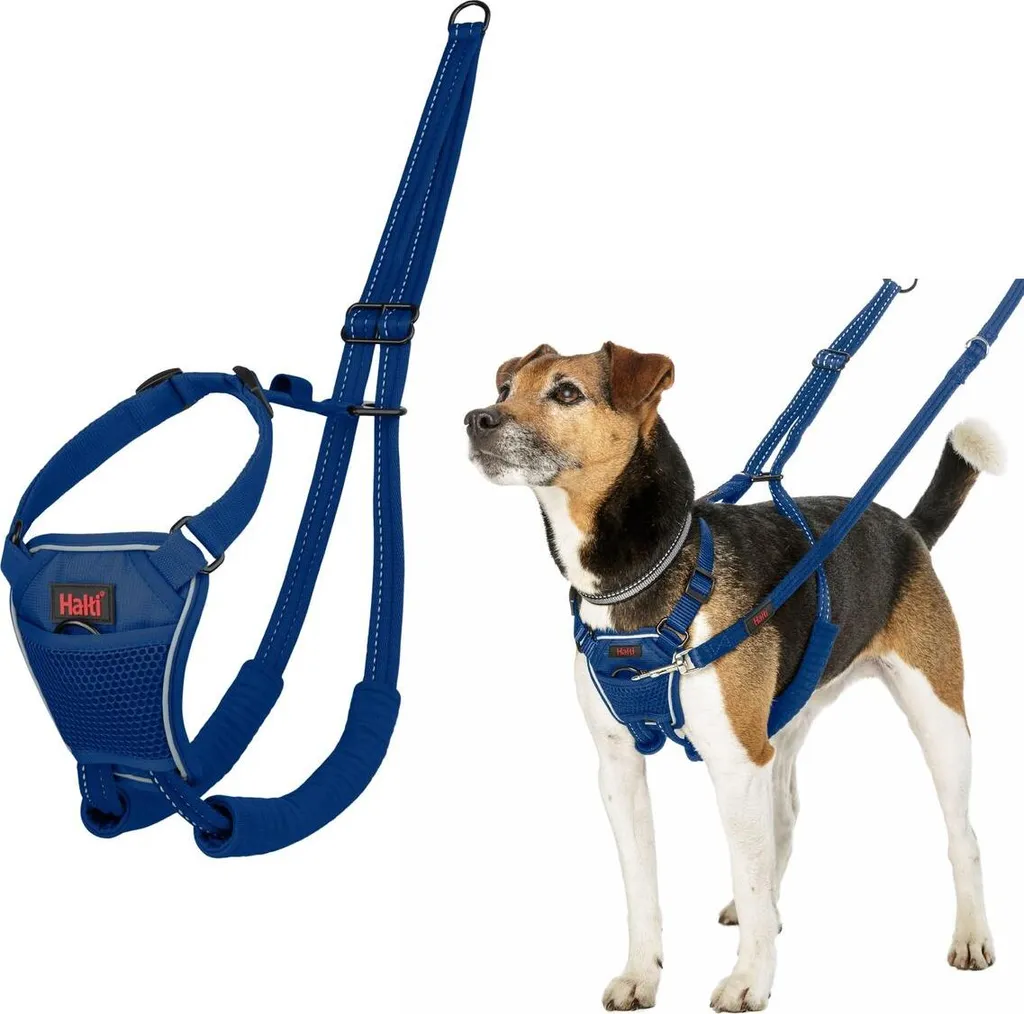 Pettorina Blu 20 Compagnia degli Animali | Sicurezza al Guinzaglio