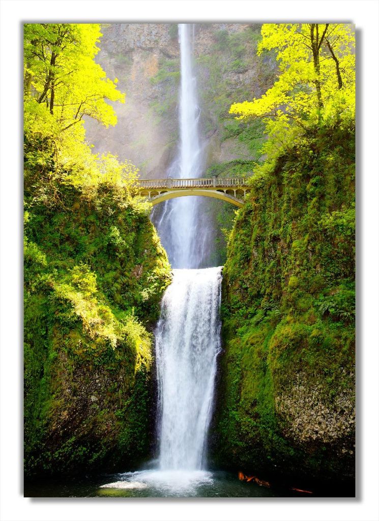 Wallario Poster - Brücke über dem Wasserfall, Kunstdruck Größe: 70 x 100 cm