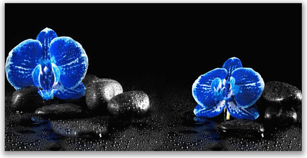 Tulup Leinwand-Bilder 140x70 Wandbild Canvas Kunstdruck Blumen Steine Pflanzen