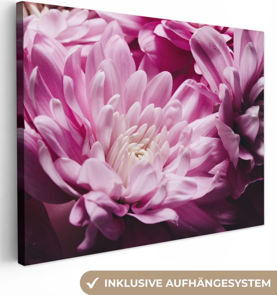 MuchoWow - Leinwandbilder - Blumen - Rosa - Natur, Wandbild, Wanddeko Bilder Wohnzimmer, 80x60 cm
