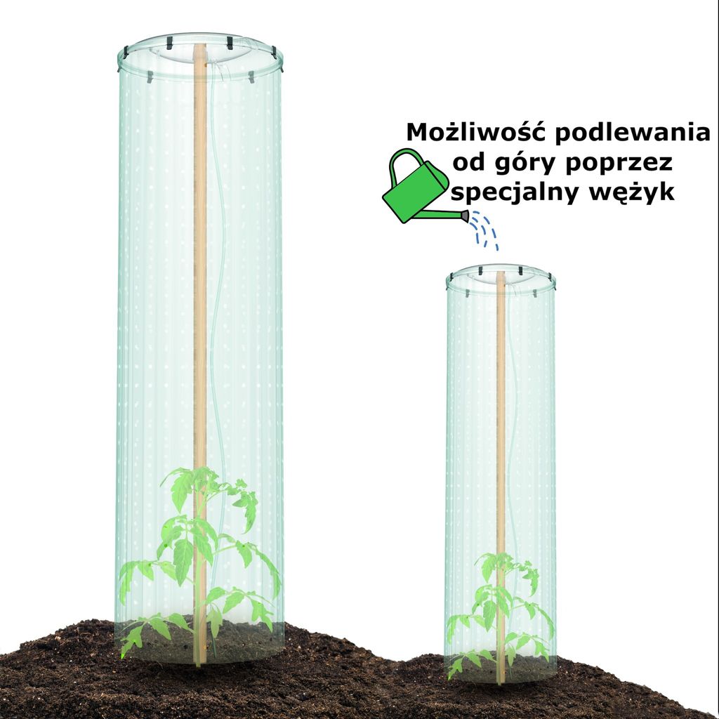 Prosperplast Prosperplast-Tomatenschutz-Set Produktbild 18