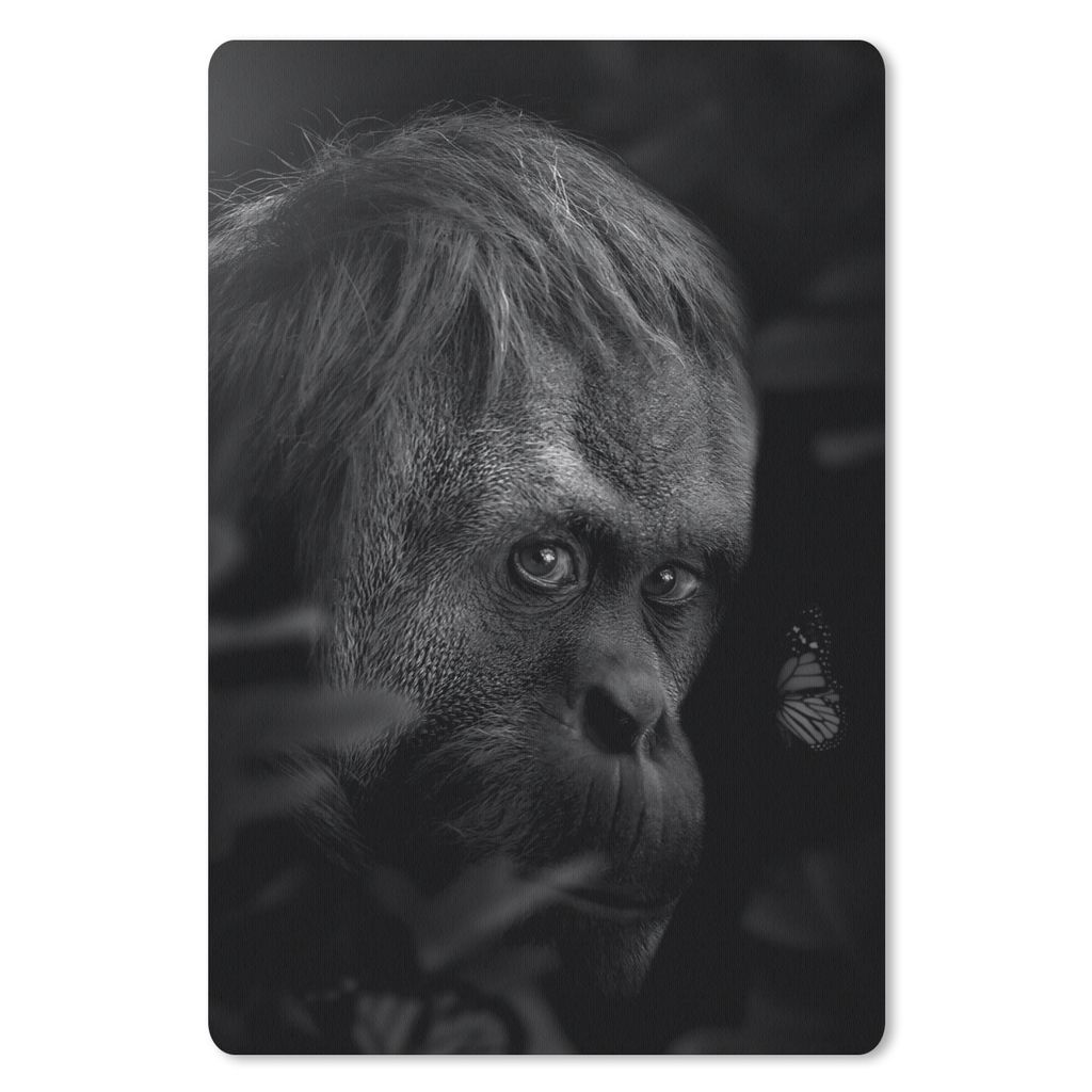 MuchoWow Mauspad Mousepad Nahaufnahme eines Affen und eines Schmetterlings im Dschungel - schwarz und weiß 18x27 cm - Mousepads - Maus Mat - Pad...