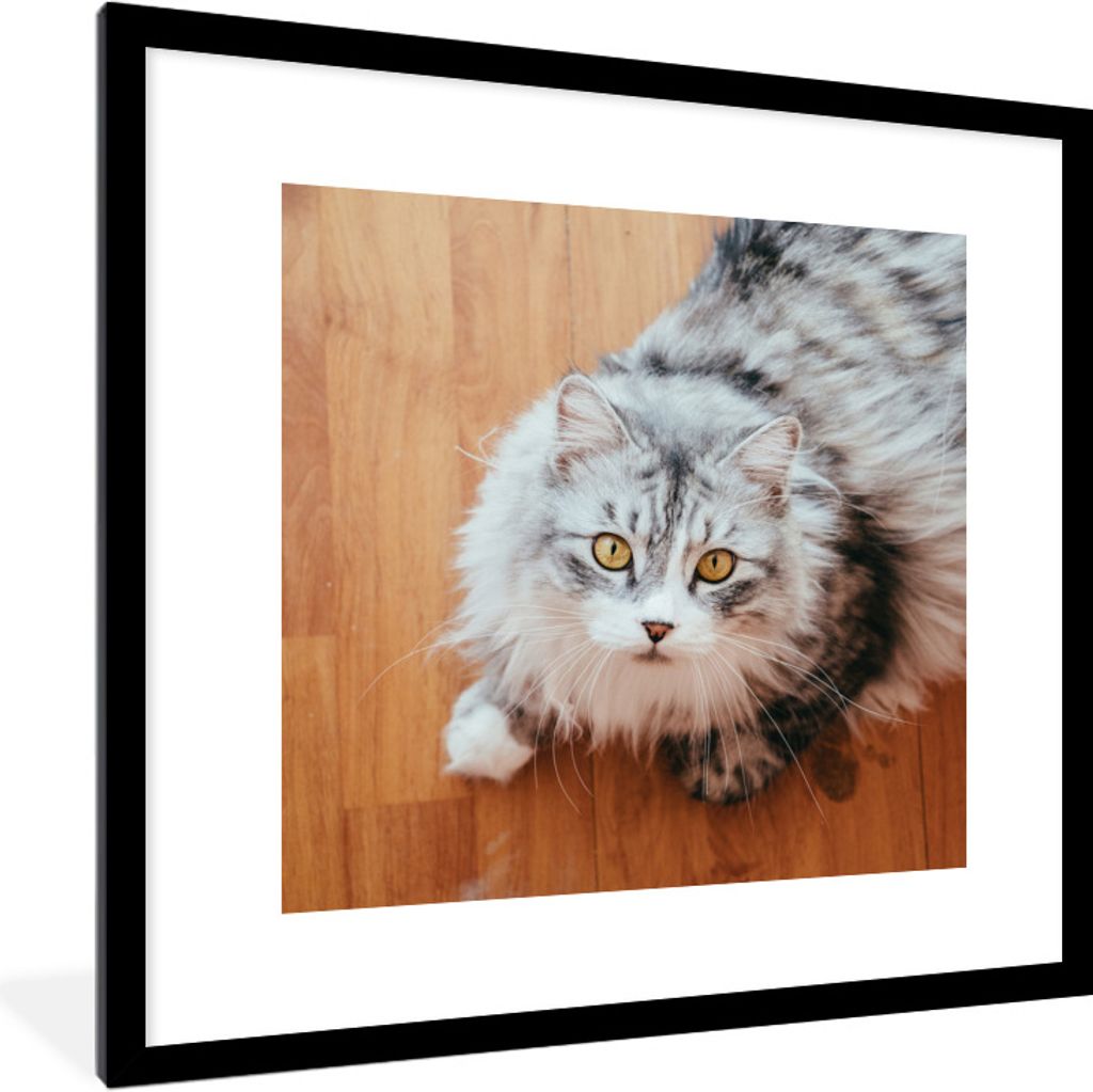 MuchoWow Gerahmtes Poster Maine Coon Katze schaut auf 40x40 cm - Poster mit Schwarzem Bilderrahmen Wandposter Rahmen Foto Bilder - Poster - Plaka...