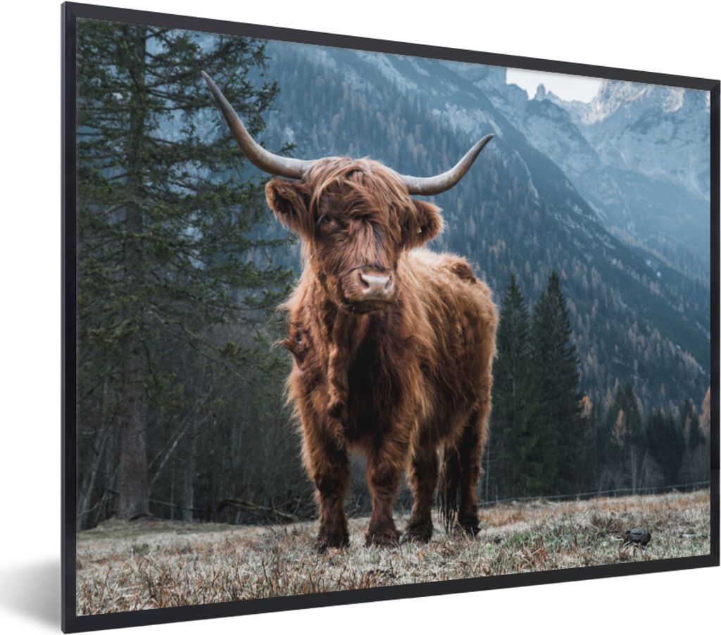 MuchoWow Gerahmtes Poster Schottische Highlander - Berg - Landschaft - Bäume - Kuh - Natur 80x60 cm - Poster mit Schwarzem Bilderrahmen Wandpost...