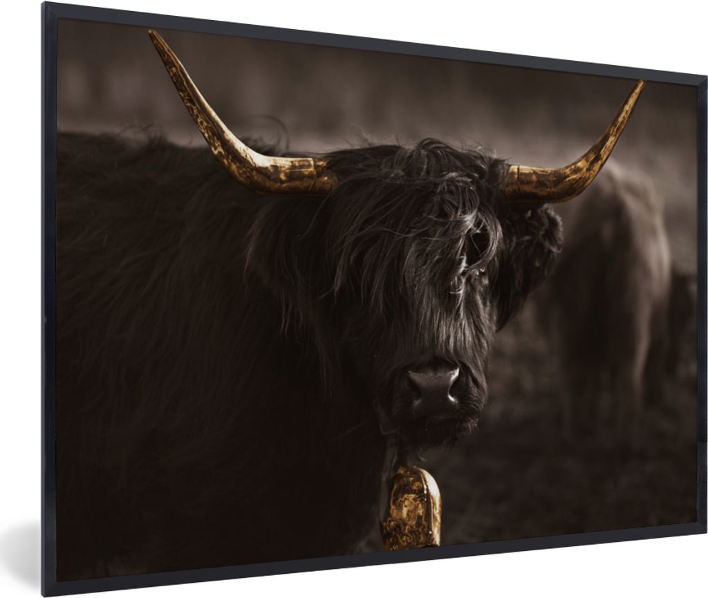 MuchoWow Gerahmtes Poster Schottischer Highlander - Gold - Kuhglocke - Hörner - Tiere 60x40 cm - Poster mit Schwarzem Bilderrahmen Wandposter Ra...