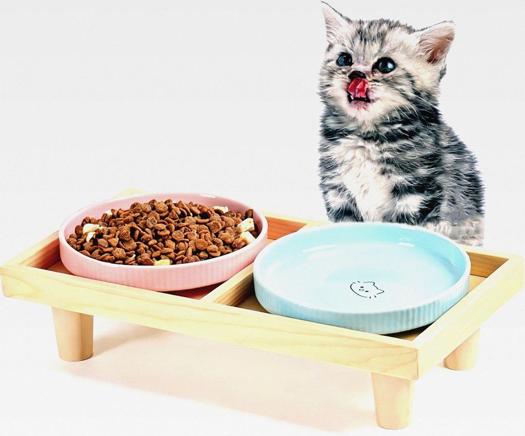 Katzennapf Flach Keramik mit Holzständer, Erhöhte Futterstation Tisch mit 2 Keramiknäpfe, Futternapf Katze Schalen-Durchmesser 16 cm