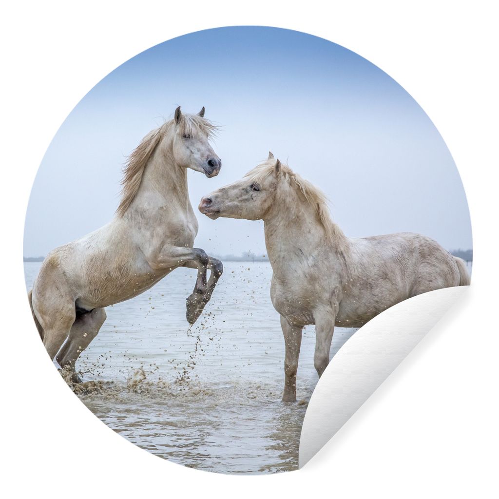 MuchoWow Runde Wandtattoo - Wandsticker Tapete Aufkleber Zwei Pferde im Wasser in der Camargue Ø 30 cm Selbstklebend und Repositionierbar - Wand...